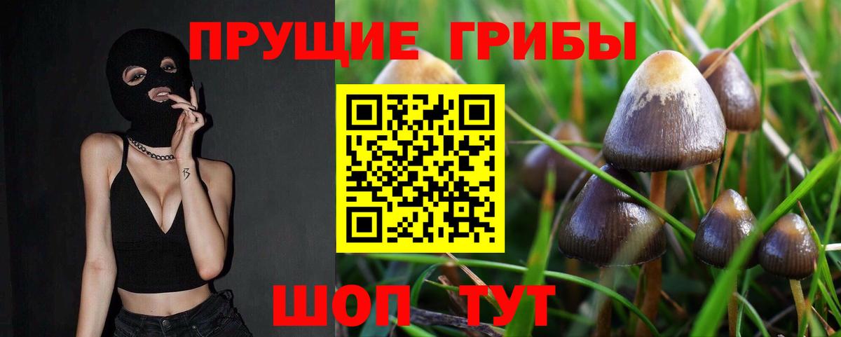 Орехово-Зуево  Псилоцибиновые грибы GOLDEN TEACHER  наркошоп  Псилоцибиновые грибы GOLDEN TEACHER  Вход с VPN 