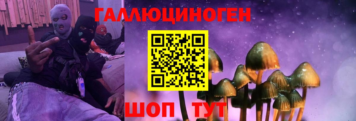 Псилоцибиновые грибы прущие грибы Орехово-Зуево